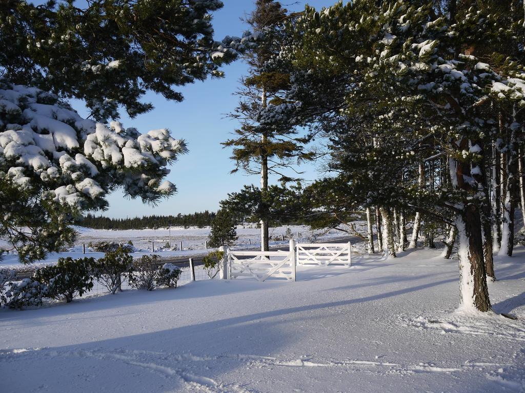 Dava School House Bed & Breakfast Grantown-on-Spey Dış mekan fotoğraf